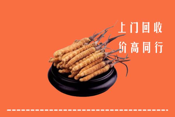 海西州回收散虫草
